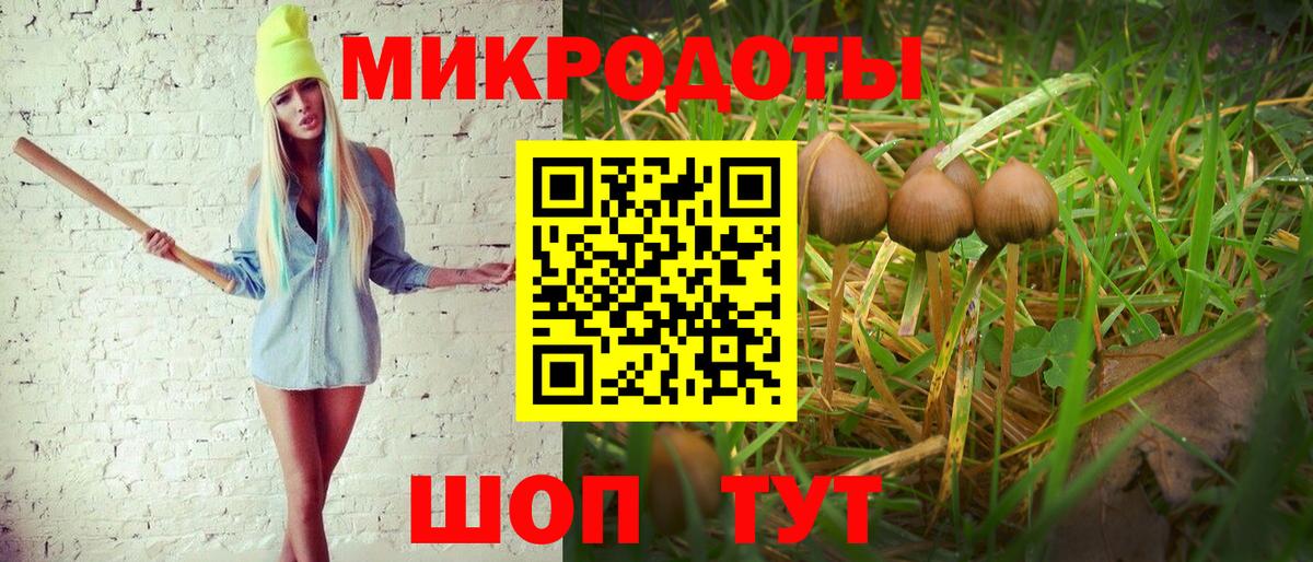 Галлюциногенные грибы прущие грибы Горно-Алтайск