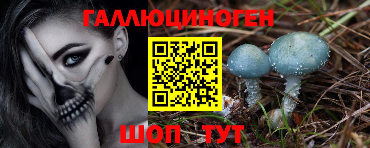 Галлюциногенные грибы Psilocybine cubensis  Псилоцибиновые грибы Psilocybe  Горно-Алтайск  Вход с VPN 
